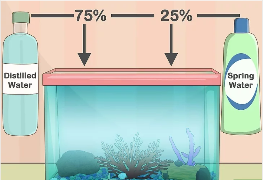 Звуки воды в аквариуме. Подмена воды в аквариуме. Очистка воды в аквариуме. Подменять воду в аквариуме. Замена воды в аквариуме.