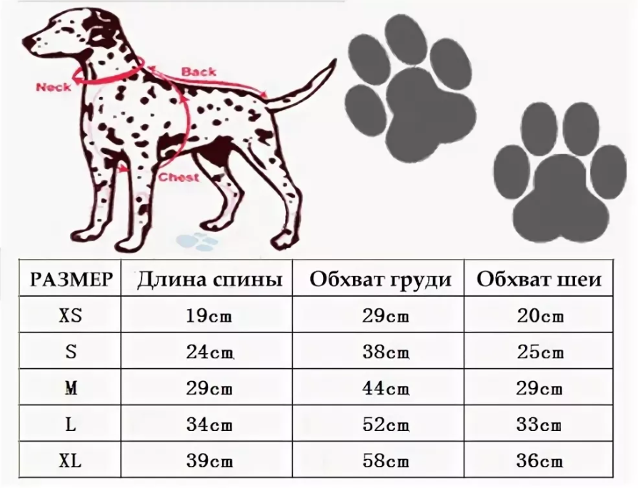 Как правильно подобрать собаку. Как правильно измерить размер одежды для собаки щенка. Как измерить обхват груди у собаки. Как правильно обмерить собаку для одежды. Как измерить размер собаки для одежды.